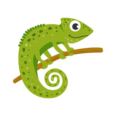 Vector cute African animal. Chameleon.