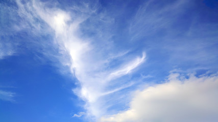 bright day or evening cloudy sky.