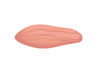 Raw chicken fillet isolated on white background. Vector illustration.