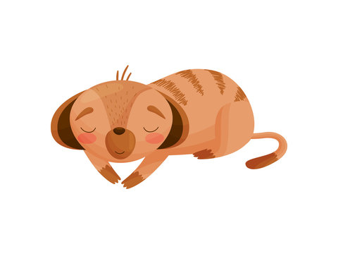 sleeping meerkat cartoon, orange, striped, cute
