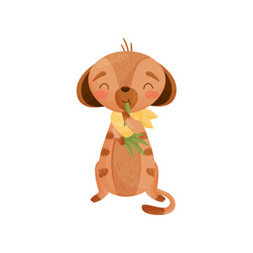 recommend clip art: Contented humanized ground squirrel eats grass. Vector illustration on white background.