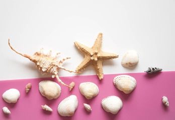 White light background with seashells and sea stars for the site frame for text. Journey to the sea is a memory.