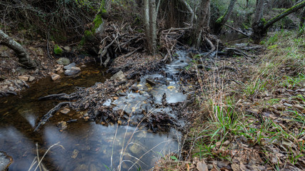 creek in extremadura, spain