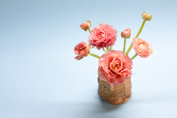 cute bouquet of gentle rose ranunculuses on a blue background