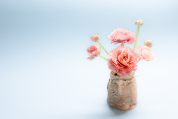 cute bouquet of gentle rose ranunculuses on a blue background