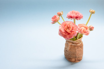 cute bouquet of gentle rose ranunculuses on a blue background