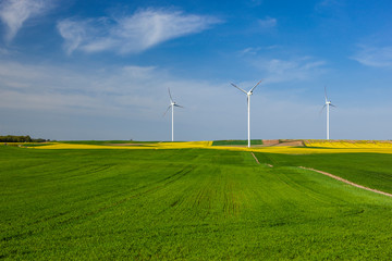 Turbiny wiatrowe na polu z rzepakiem © Grzej