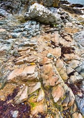 Rock Strata exposed by waves at shoreline