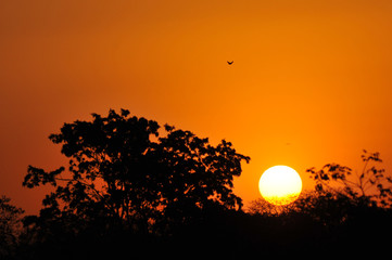 Obraz premium Itumbiara Cerrado Goias Por do Sol