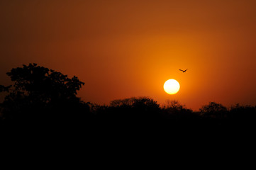 Itumbiara Cerrado Goias Por do Sol
