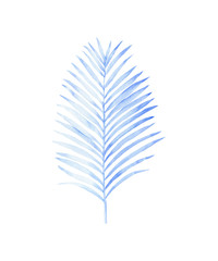 Fototapeta premium Watercolor painting of coconut palm leaf
