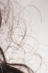 Detail of brown curly hair lying in water in sink.