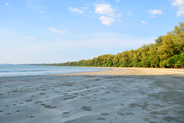 Quite sea beach beautiful seascape nature background