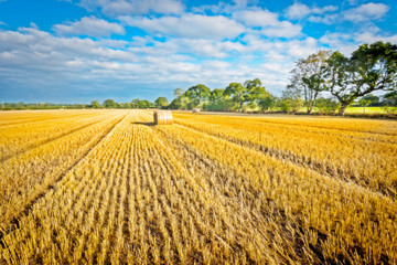 Post Harvest cornfield with bale and blue sky
