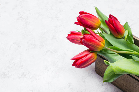 Tulip flower in wooden box on white  background, copy space. A beautiful spring bouquet of red flowers