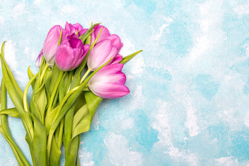 Fototapeta na wymiar Tulip flowers on blue background, copy space. A beautiful spring bouquet of pink flowers