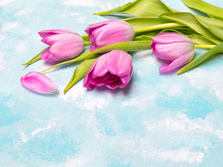 Tulip flowers on blue  background, copy space. A beautiful spring bouquet of pink flowers