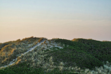 Nordsee, Strand, Meer, Küste, Dünen, Urlaub
