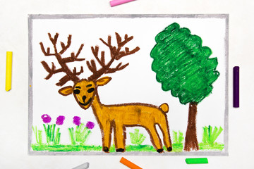 Colorful drawing: cute brown deer with big deer horns