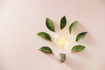 Fotobehang Eco green energy concept bulb, lightbulb leaves on pink background. © makistock