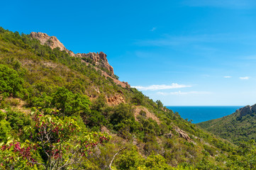 Mountain landscape in the Massif de l'Ésterel near Antheor