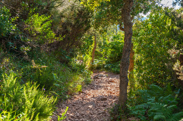 Fototapeta premium Hiking trail to the Pic du Cap Roux near Antheor