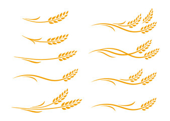 set of hand drawn doodle wheat ears - obrazy, fototapety, plakaty