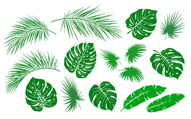 tropical hand drawn green palm leaves branches set