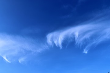Beautiful cirrus clouds in natural cloud formations in a deep blue sky