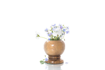 Naklejka na ściany i meble spring small white and blue flowers isolated on white
