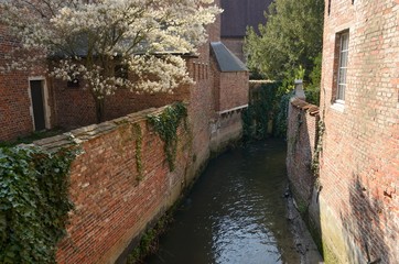 Narrow canal  in Leuven, Belgium