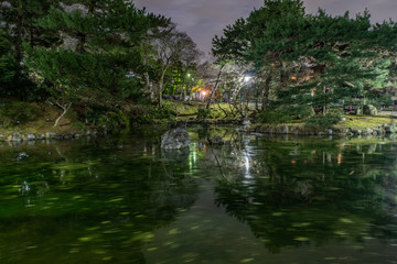 Fototapeta na wymiar Parc Maruyama de nuit à Kyoto Gion