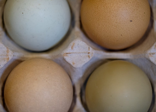 Variety of eggs of different colours in a cardboard egg box, photographed from above.