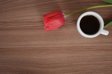 Cup of drink and a Tulip.