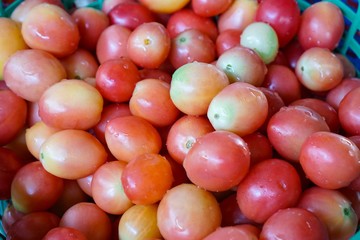 tomatoes in the market