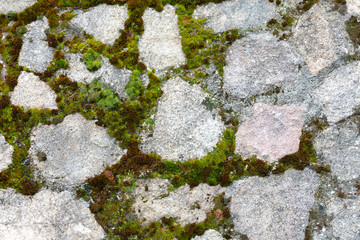 Old stone wall