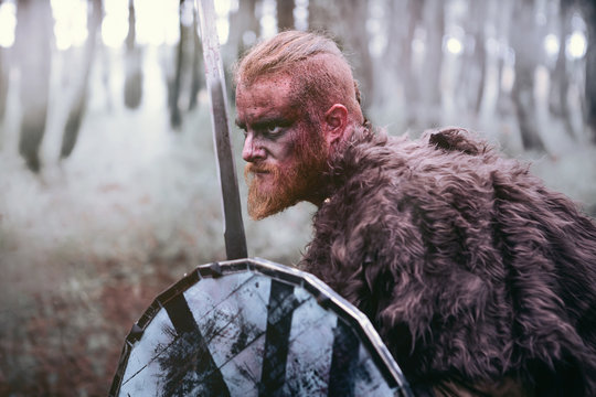 Terrifying viking prepared for the fight