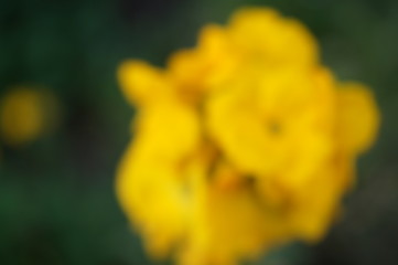 background yellow