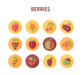 Fresh Berries icons set