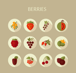 Fresh Berries icons set