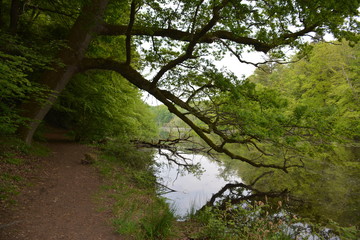 La Chapelle-sur-Erdre - La vallée du Gesvres