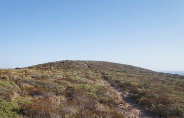 Summer steppe mountain landscape with dry yellow green bushes trees and grass under the scorching sun and blues sky.