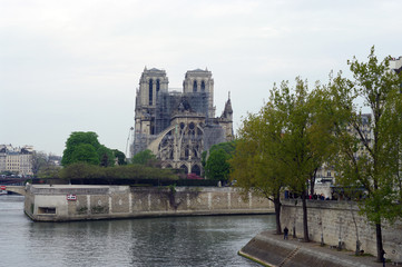 Obraz premium Arrière de la cathédrale de Notre-Dame