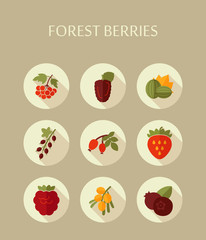Forest berries icons set