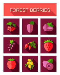 Forest berries icons set