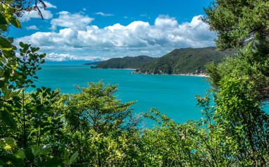 Fototapeta na wymiar Landscape with ocean, mountains and trees. Tasman Bay, Nelson area, New Zealand
