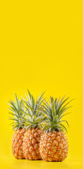 Beautiful fresh pineapple isolated on bright yellow background, summer seasonal fruit design idea pattern concept, copy space, close up