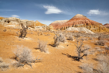 Beautiful landscape of the desert
