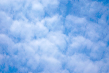 Obraz premium blue sky with white clouds