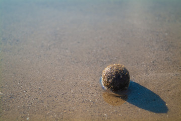 Fototapeta na wymiar Geometric shape ball on the beach sand